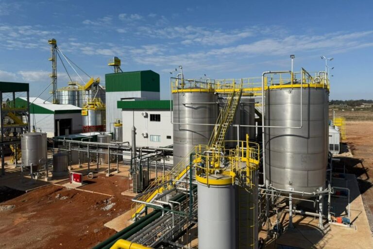Primeira usina de etanol de trigo do Brasil vai processar 100 t por dia