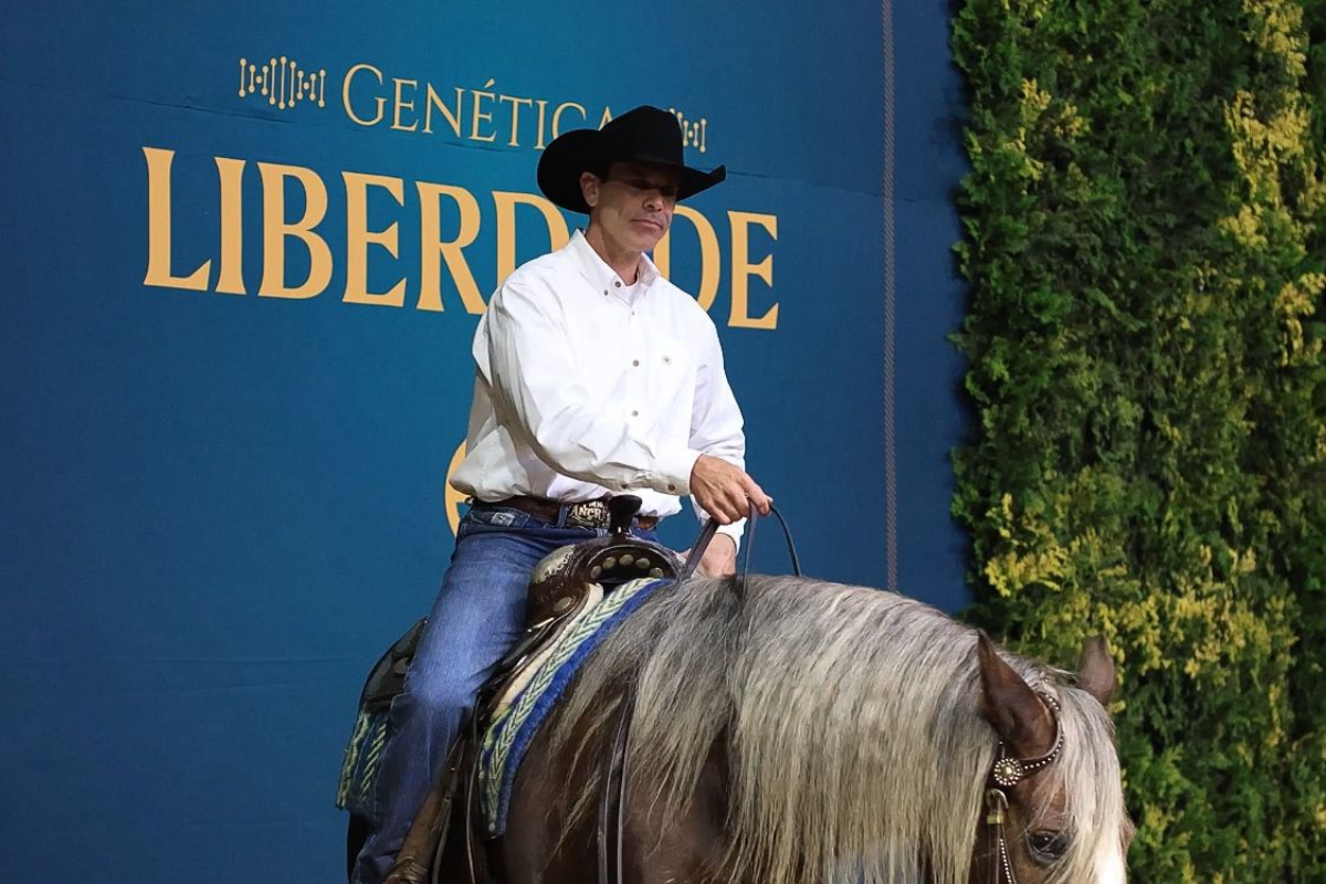 Cavalo Loirinho foi a leilão na noite dessa quinta-feira na Expointer. Foto: Estância Liberdade/Divulgação