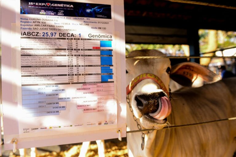 18ª ExpoGenética discute como aumentar o lucro dos criadores