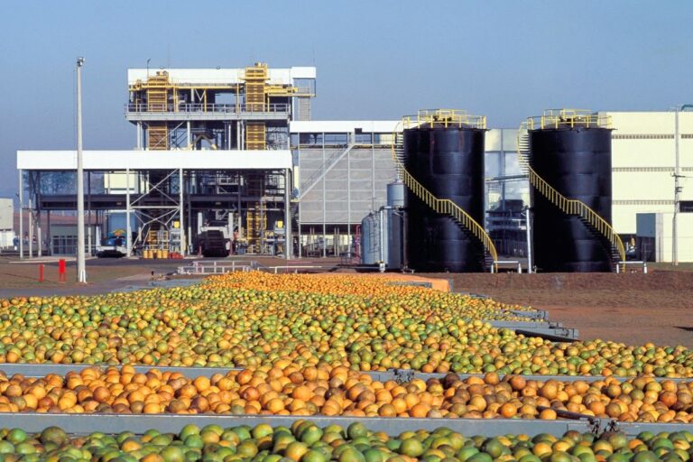 Cientistas criam bioplástico mais resistente com resíduos de laranja