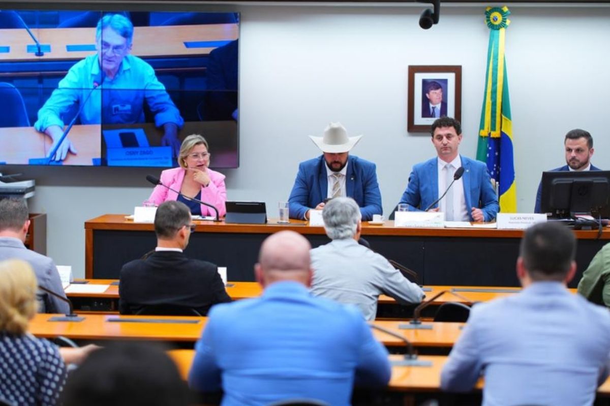 Audiência pública na Câmara dos Deputados