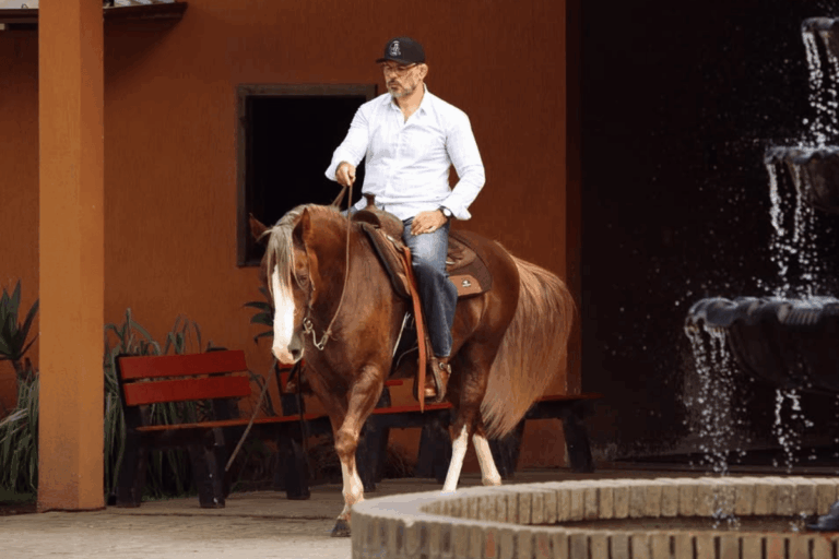 Lutador Minotauro vai leiloar cavalo em ação solidária