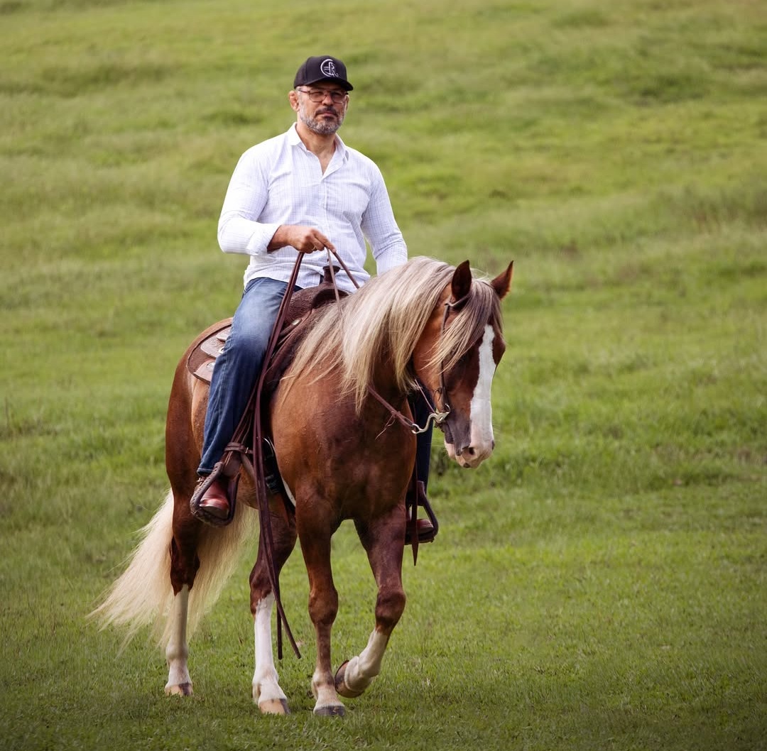 MINOTAURO cavalo leilão expointer (1)