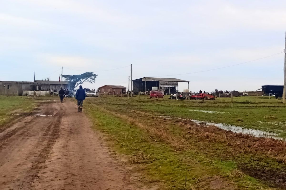 Fazenda invadida está localizada em Viamão (RS) | Foto: MST