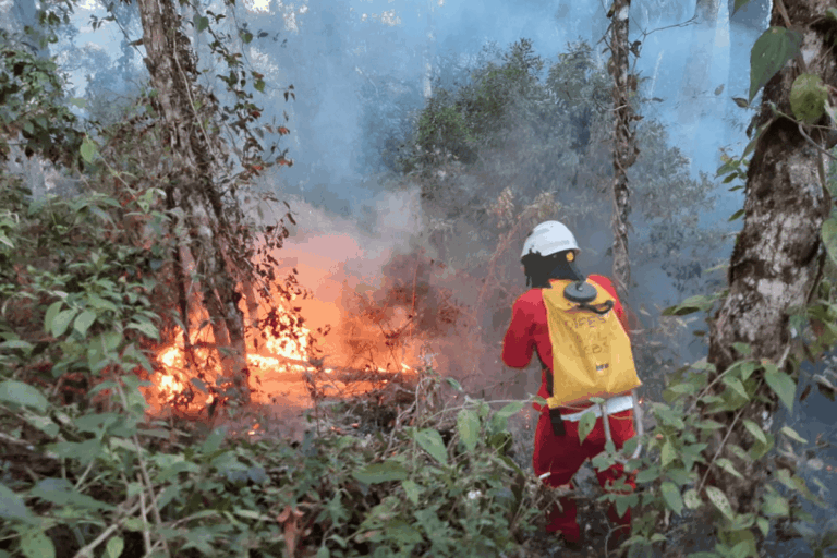 São Paulo reduz focos de incêndio em 51% em julho