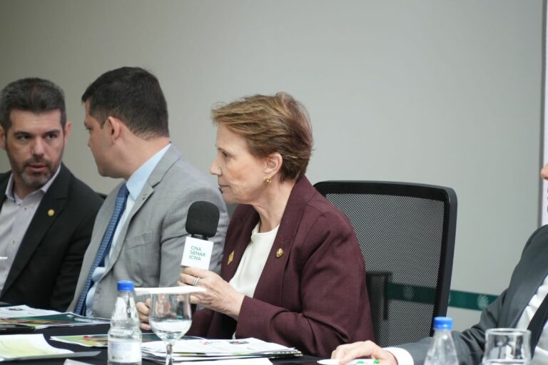 Tereza Cristina: 'falta vontade política' para votar vetos do licenciamento ambiental