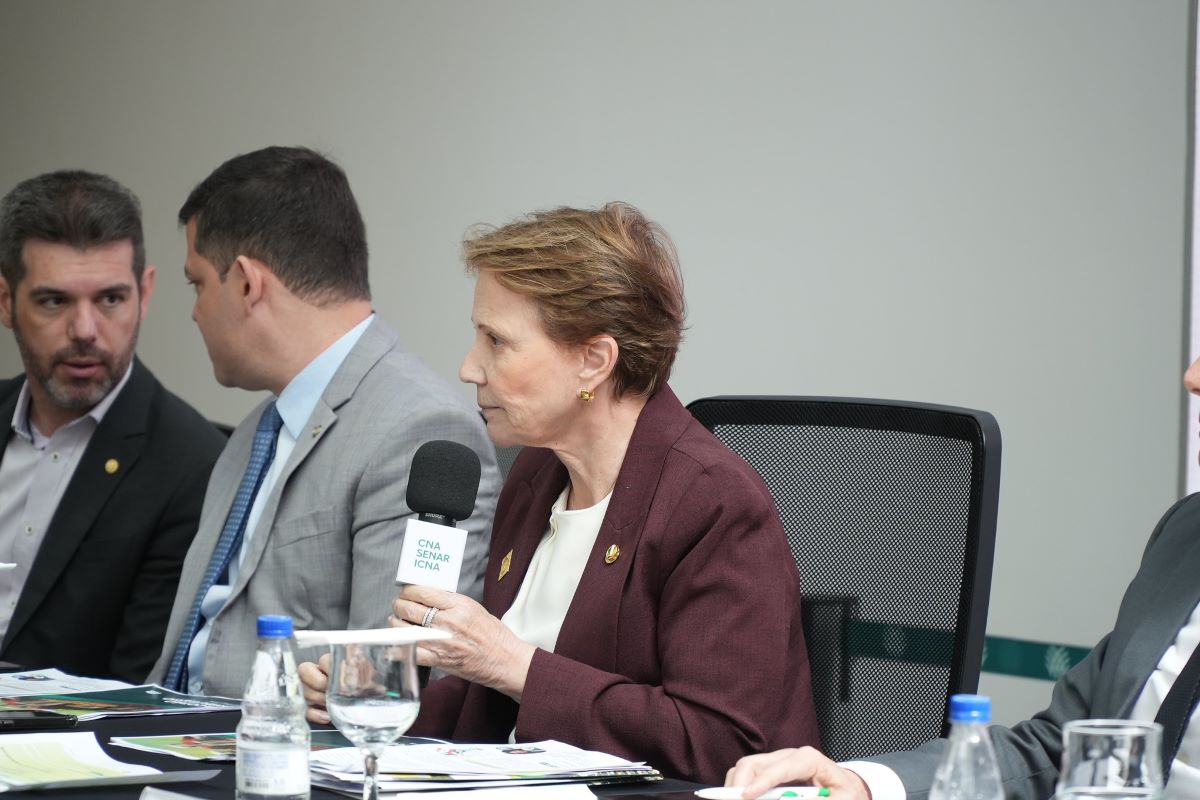 Para Tereza Cristina, o tema do licenciamento ambiental perdeu força. Foto: FPA/Divulgação