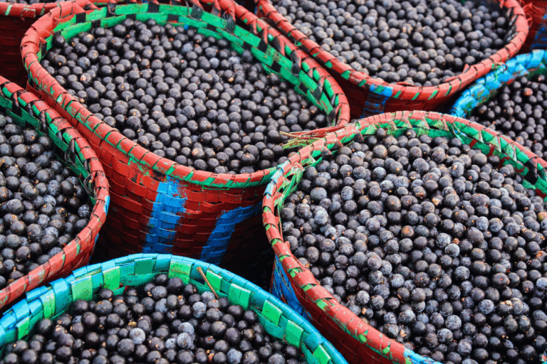 COP 30 recua e libera venda de açaí durante evento em Belém