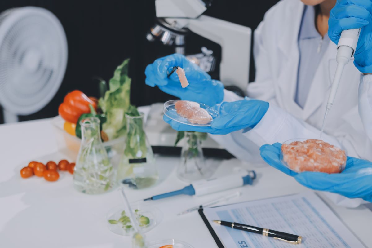 Instituto vai se dedicar a todas as etapas de produção, até que o alimento chegue à mesa do consumidor. Foto: Adobe Stock