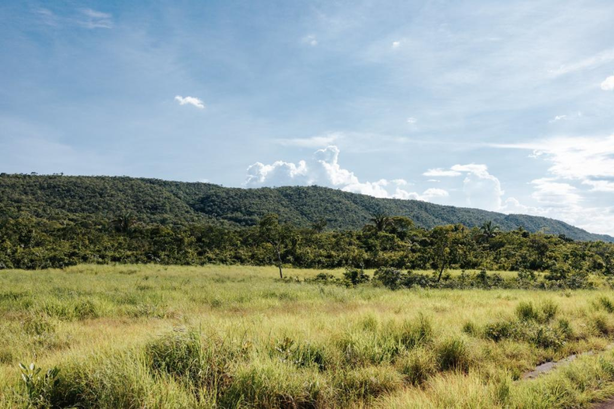 Foto: Sema-MT/Divulgação