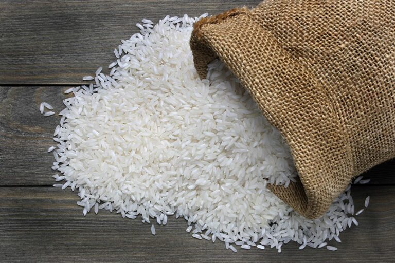 Federarroz incentiva adesão de agricultores a programa público de compra do grão