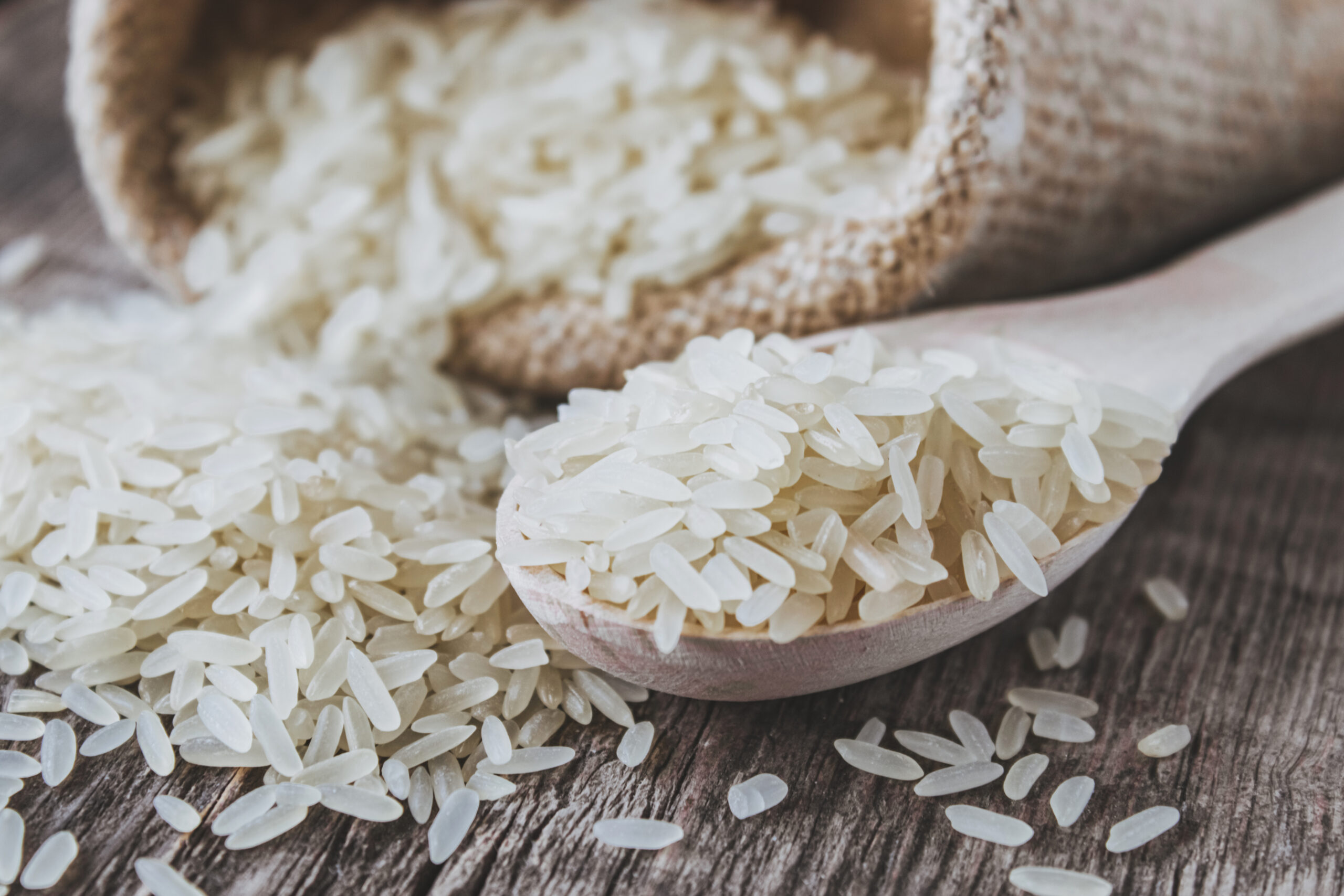 Arroz será um dos produtos adquiridos pela Conab por meio do leilão. Foto: Adobe Stock
