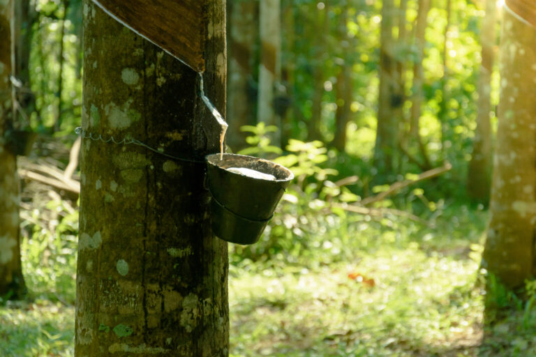 Faesp pede que alíquota de importação da borracha natural seja mantida