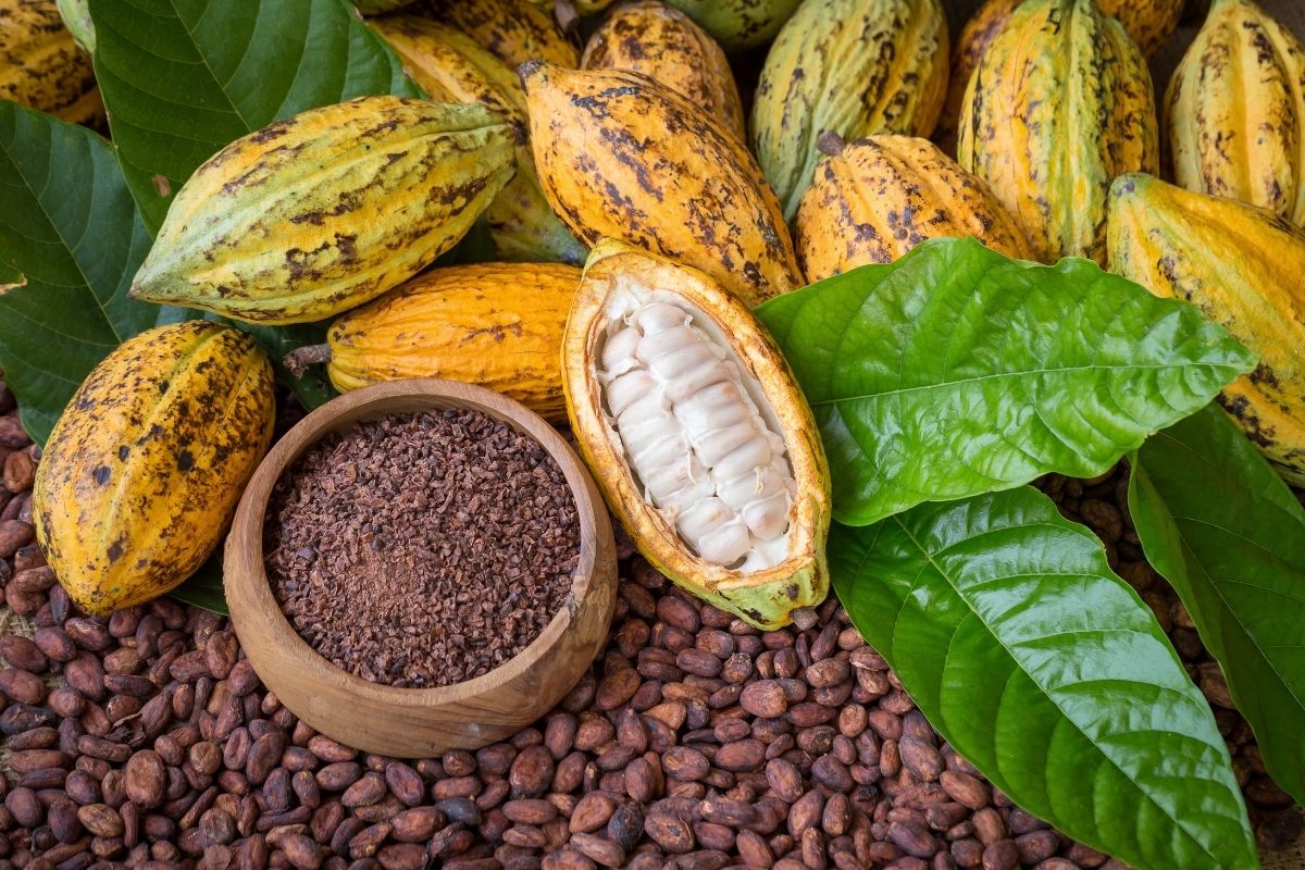 Os EUA é o segundo maior comprador de manteiga de cacau brasileira | Foto: Adobe Stock