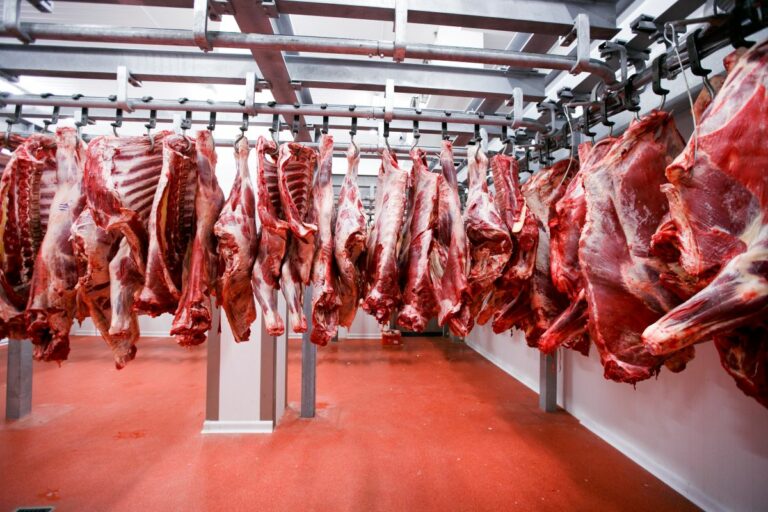Abrafrigo: exportação de carne bovina bate recorde em volume e receita