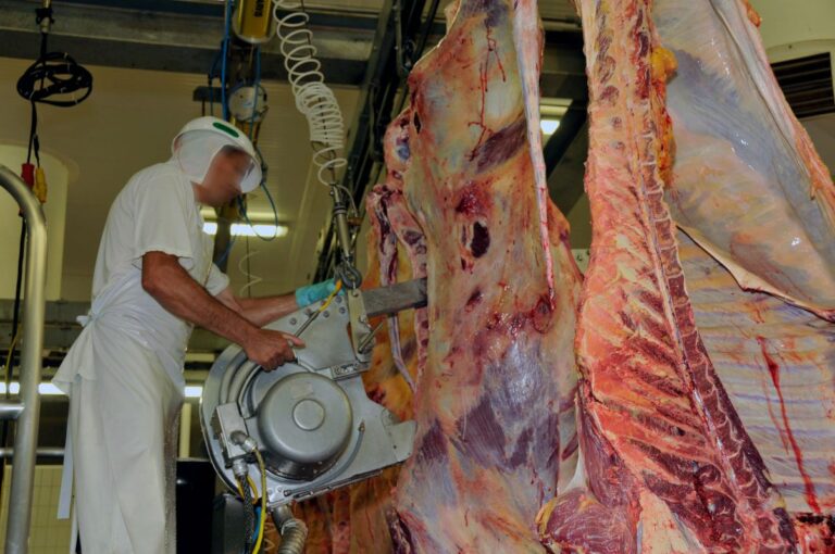 Exportações de carne bovina do MT crescem 5,7% no 1º semestre