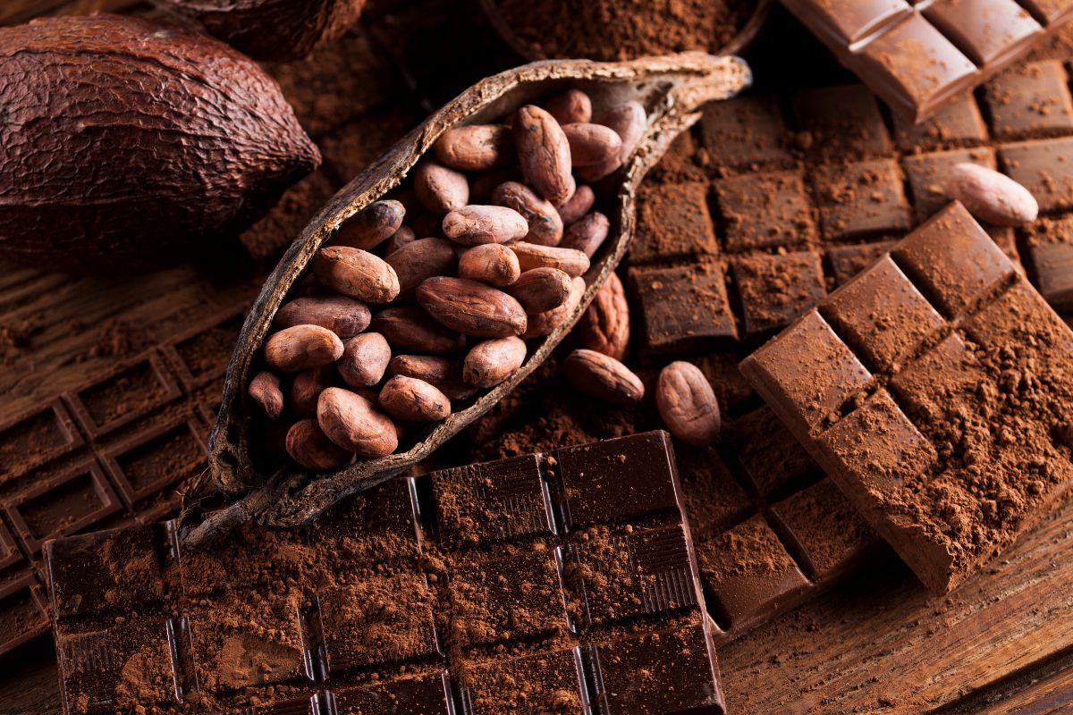 como o cacau vira chocolate