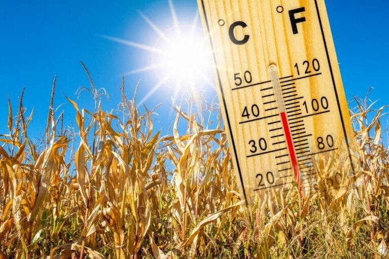 Como será o clima em setembro? Veja a previsão por cultura e região