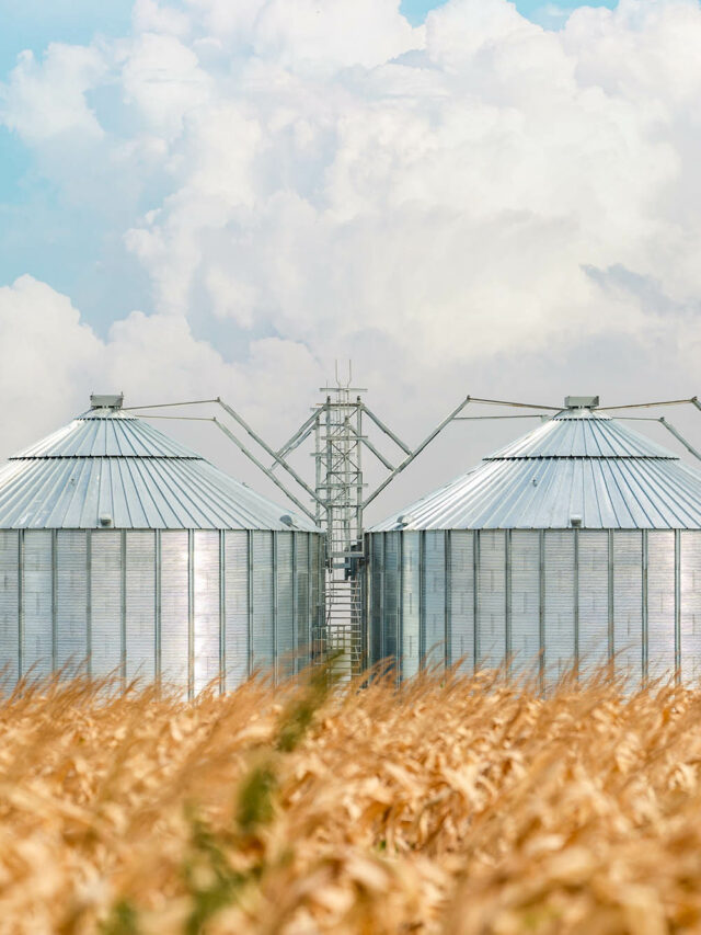 Silo secador: como evitar perdas pós-colheita