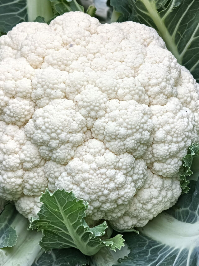 Poucas calorias, muitos benefícios: descubra a couve-flor
