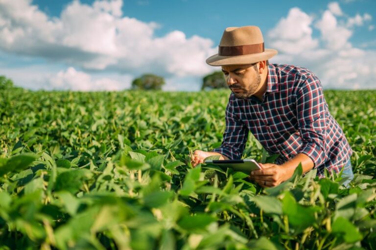 Agropecuária termina junho com 25,8 mil novos empregos