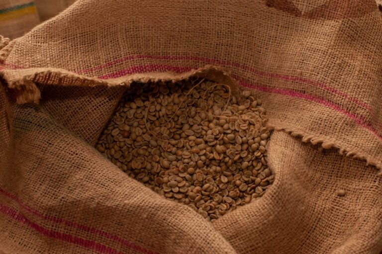 Exportações de café caem em julho, mas receita é recorde apesar de tarifaço dos EUA