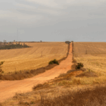 faixa de fronteira; imóvel rural; terreno; estrada