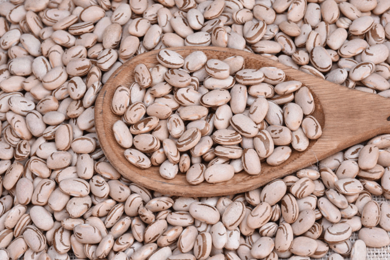 Embrapa lança feijão carioca biofortificado