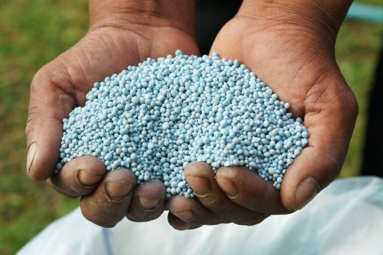 Alta dos fertilizantes atrasa compras e encarece safra de soja