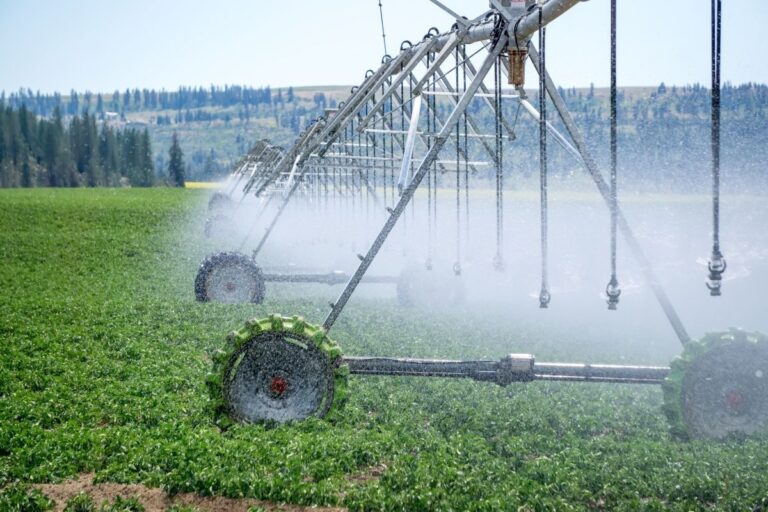 Irriga+ SP amplia limite de área para financiamento rural