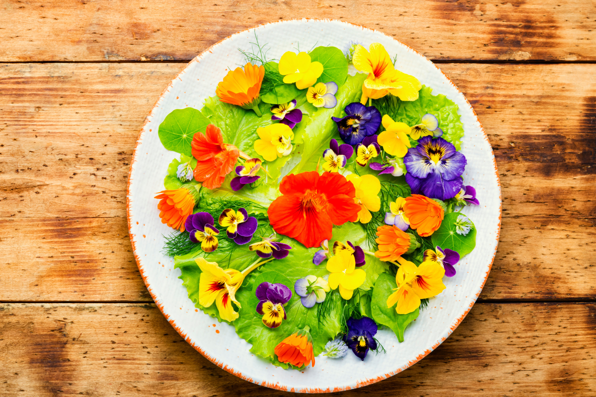 Foto: Adobe Stock