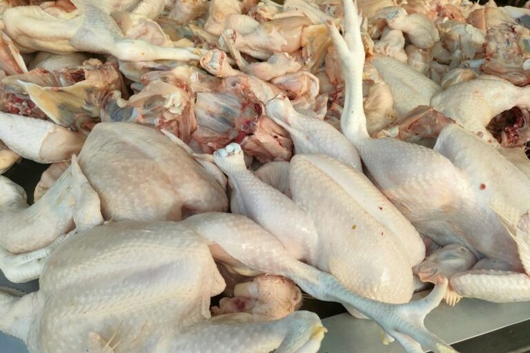 Lula pede à China retomada de compra de frango após gripe aviária