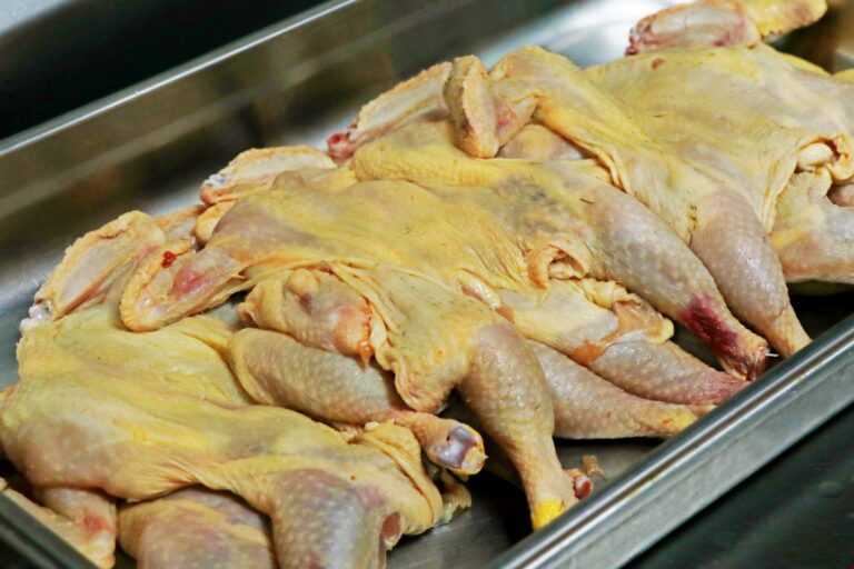 Julho tem melhora em exportações de frango após restrições da gripe aviária