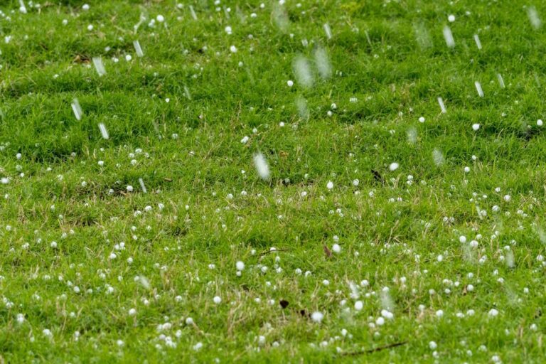 Próximos dias terão calor intenso, chuvas e risco de granizo