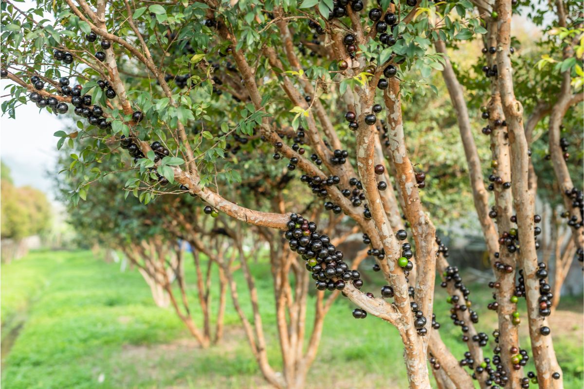Foto: Adobe Stock