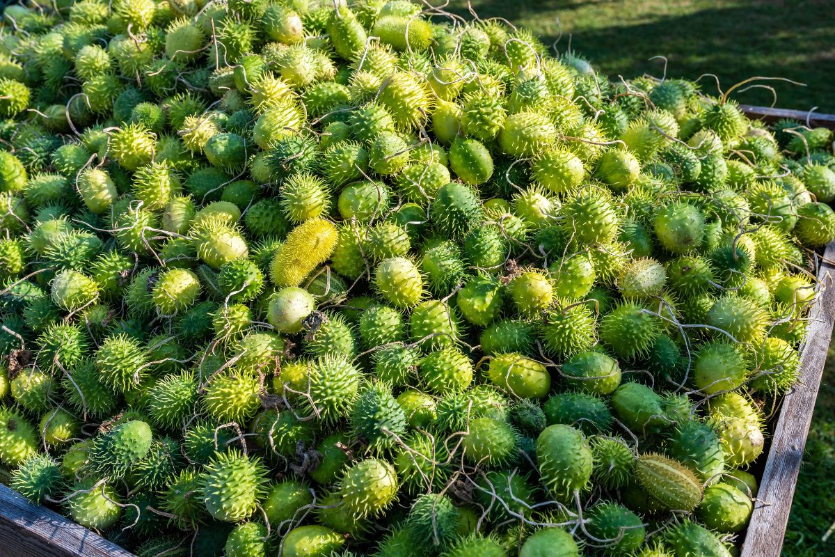 Foto: Adobe Stock