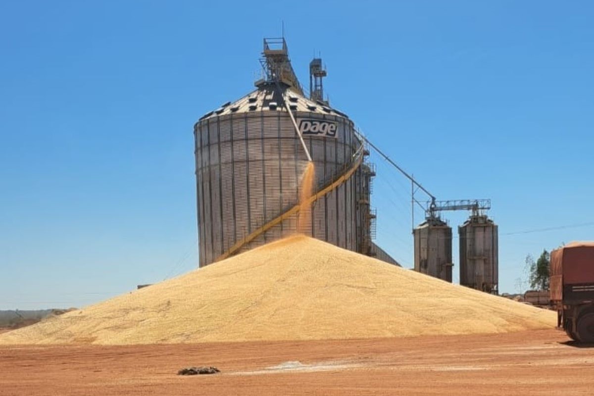 Armazém em Brasnorte (MT), com milho ao ar livre - Foto: Sindicato Rural Brasnorte/Divulgação