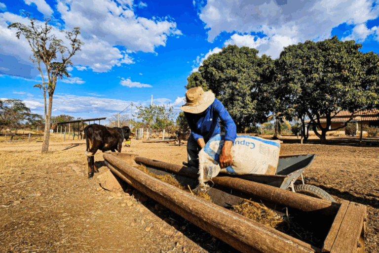 Nova lei estimula produtores do semiárido mineiro a irrigar pela primeira vez