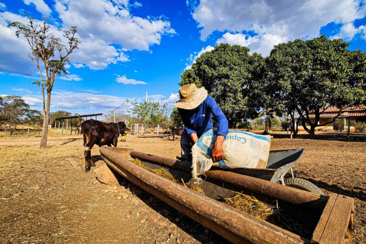 Foto: Secretaria de Agricultura MG/Divulgação