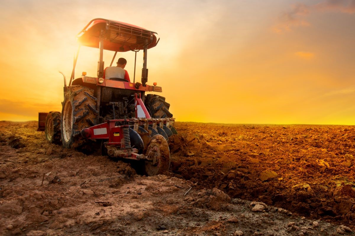 Foto: Adobe Stock