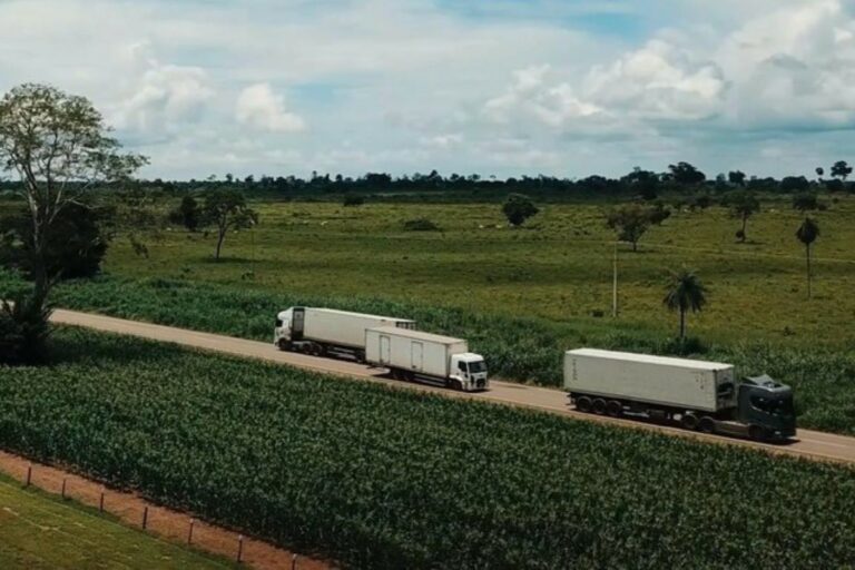 Consórcio com construtora leva leilão de concessão da Rota do Agro