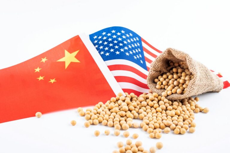 Produtores de soja dos EUA pedem que Trump garanta vendas à China