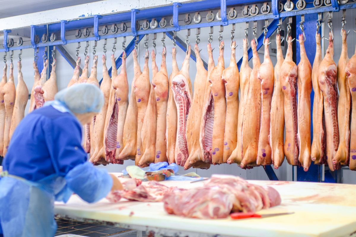 Entre janeiro e julho de 2025, Brasil exportou 848,8 mil toneladas da proteína animal - Foto: Adobe Stock