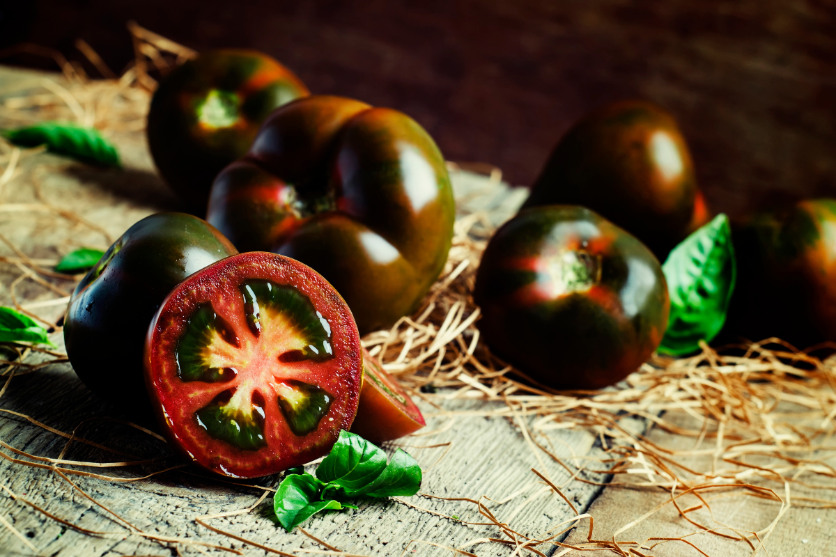 tomate preta