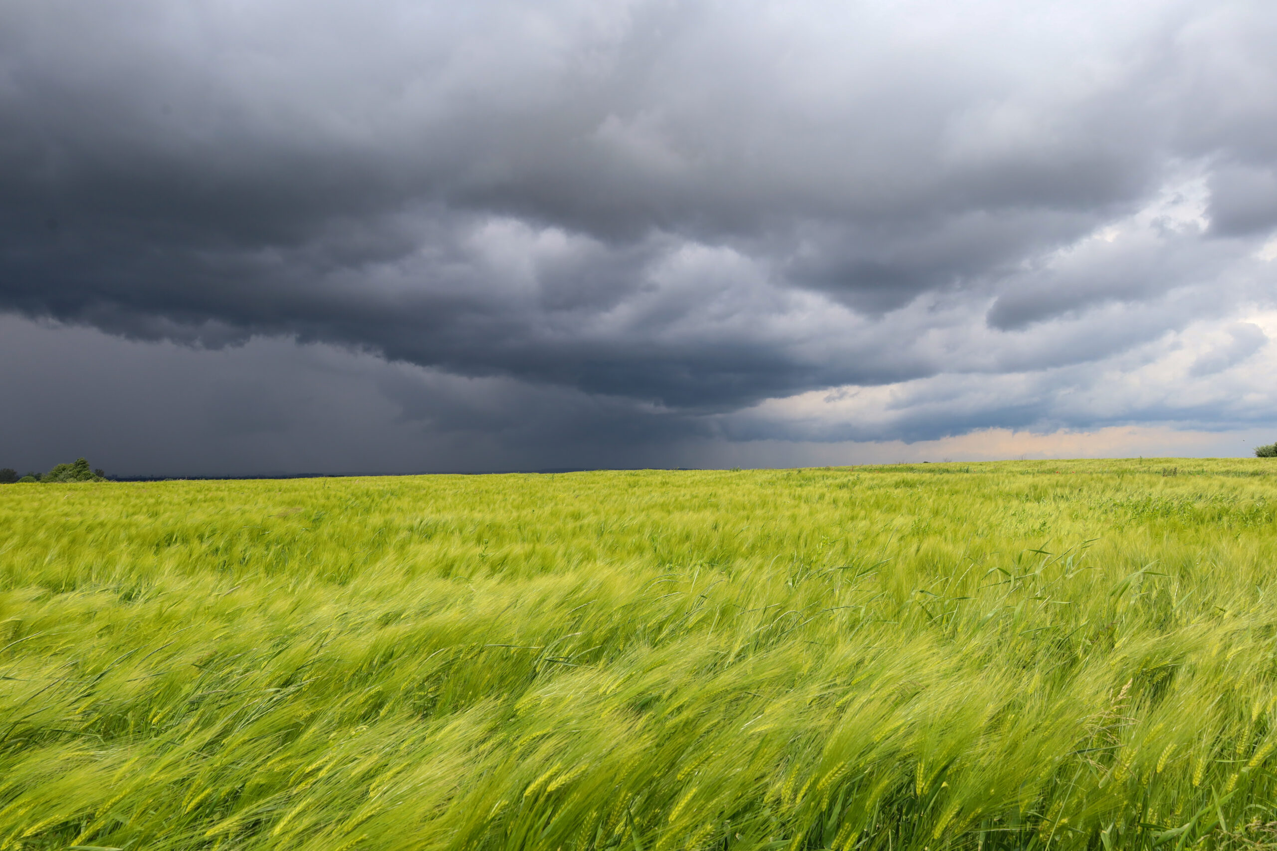 Fenômeno trouxe ventos acima de 100 km/h, chuvas persistentes e ameaça de geadas - Foto: Adobe Stock