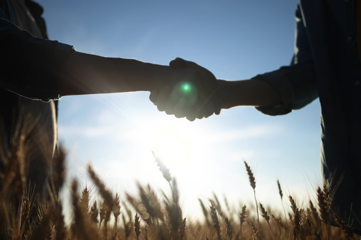 Foto: Adobe Stock