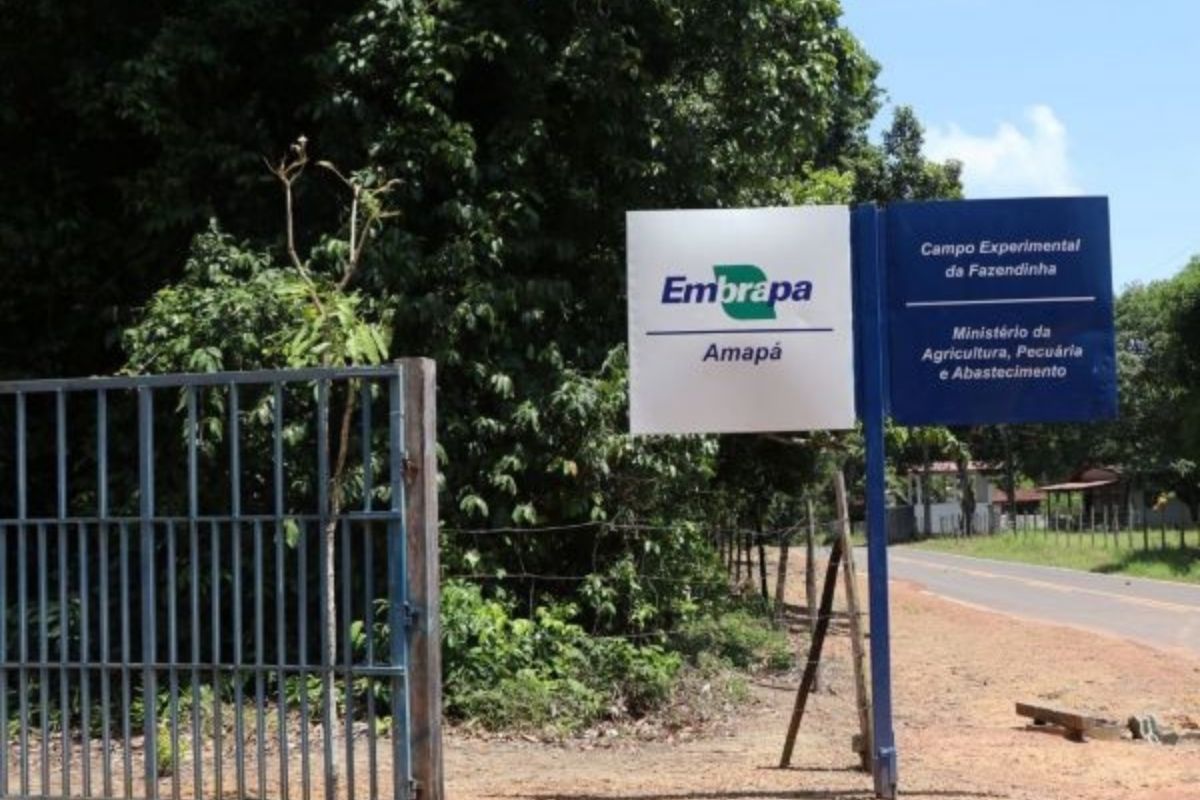 Acesso a todas unidades experimentais da EMBRAPA no Amapá estão com restrições. | Foto: Divulgação/ EMBRAPA