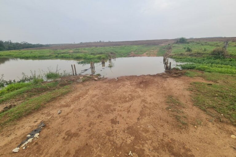 Agricultura regenerativa e microbacias  ajudam a preservar o Rio Tietê