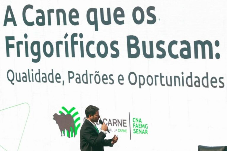 Indústria aposta em padronização e qualidade da carne para ampliar mercados