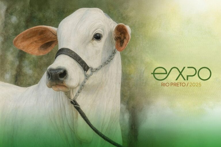 EXPO Rio Preto injeta R$ 2 milhões e projeta recorde em negócios no agro